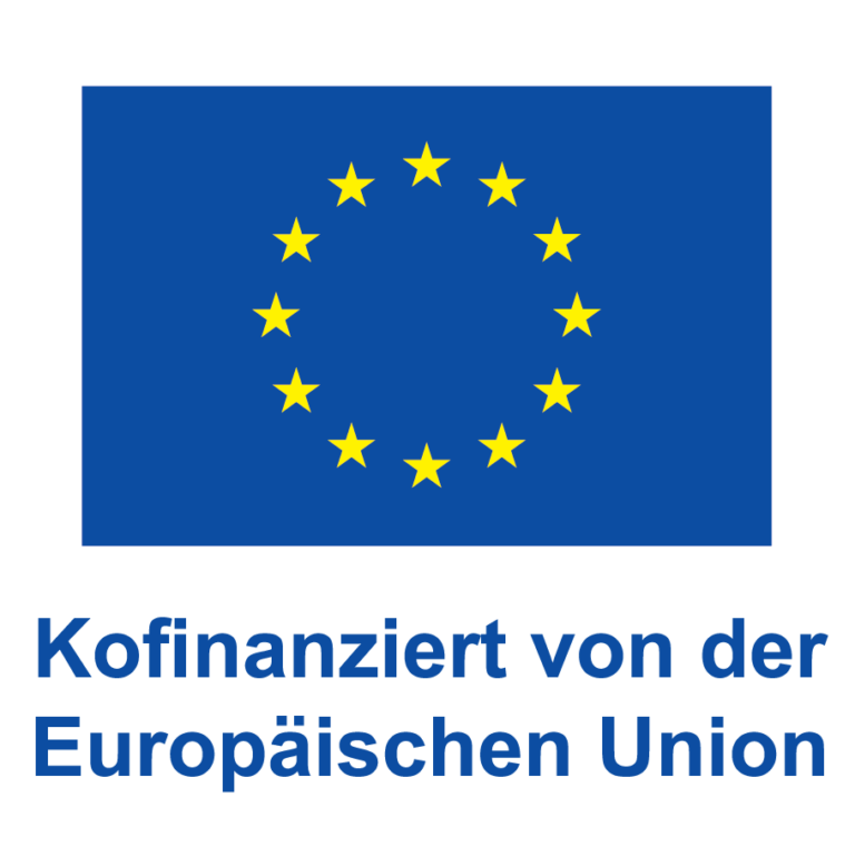 de v kofinanziert von der eu pos